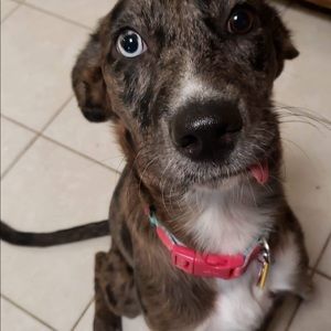 Meet your Posher, Michele